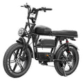 EB30 Fatbike mit Doppelakku