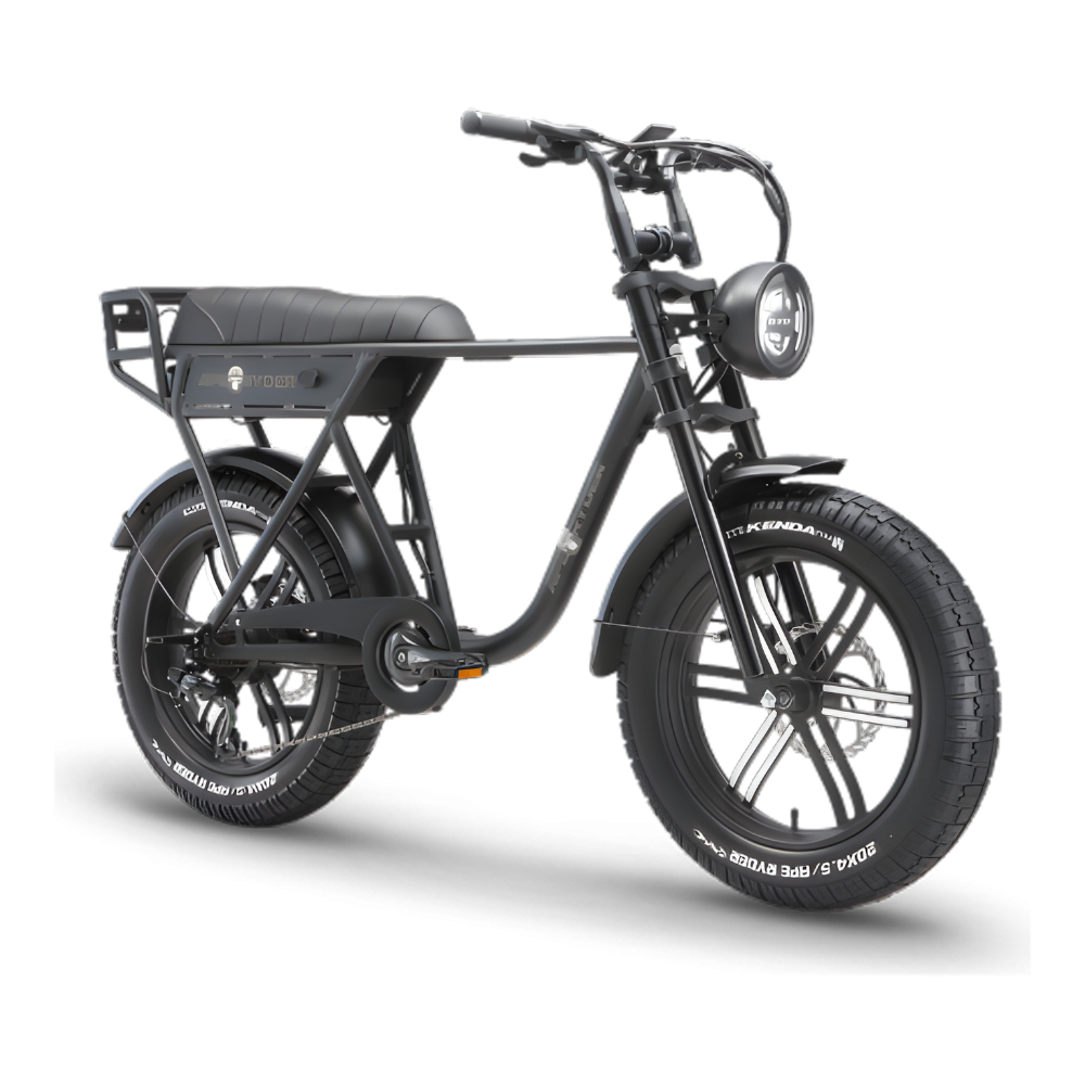 Ape Ryder a10